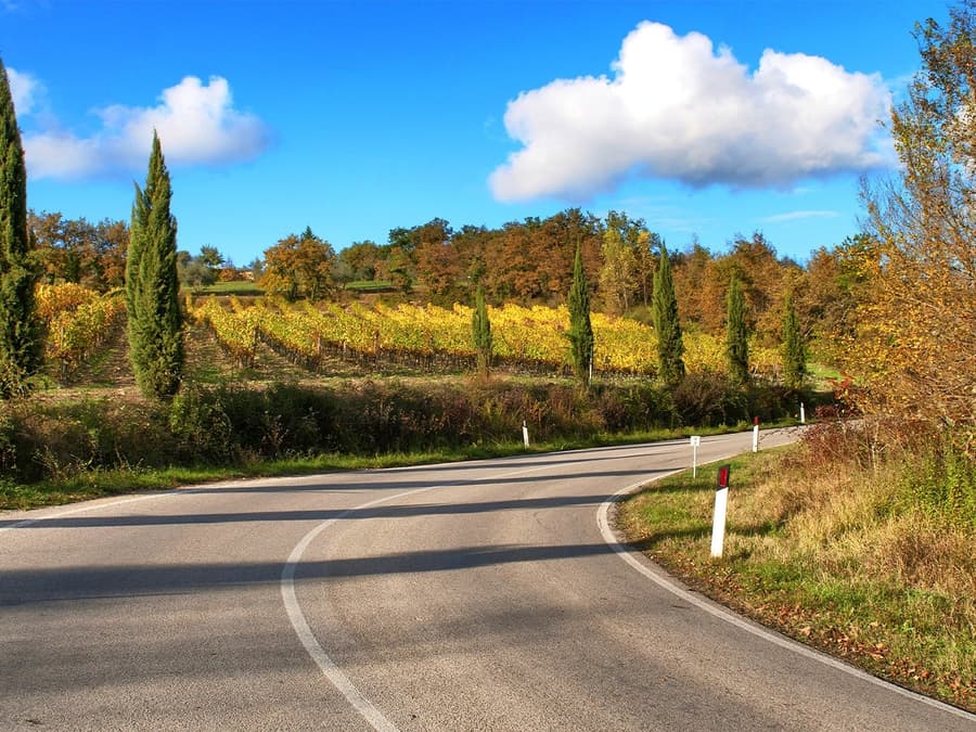 Des de Florència: Excursió d'un dia a Siena i al Chianti amb sopar i maridatges regionals
