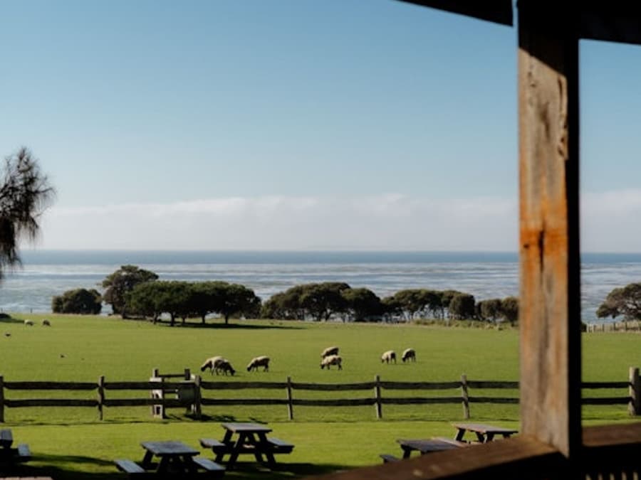 Phillip Island: Biglietto di ingresso per Churchill Island
