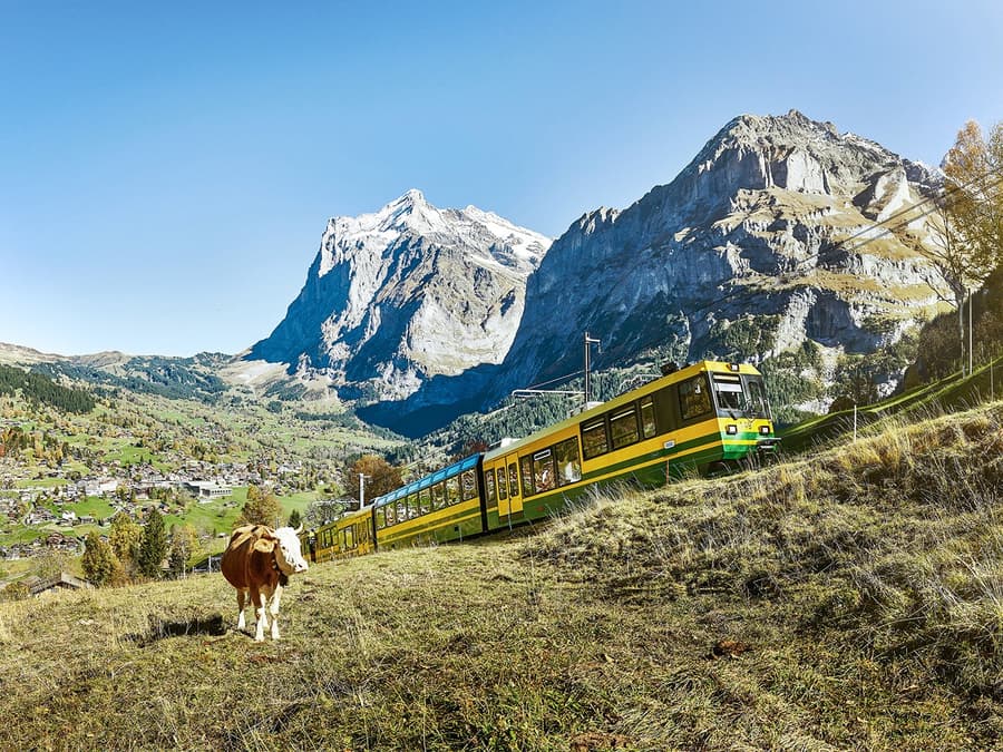 From Lauterbrunnen: Jungfraujoch Top of Europe Round-Trip Train Tickets