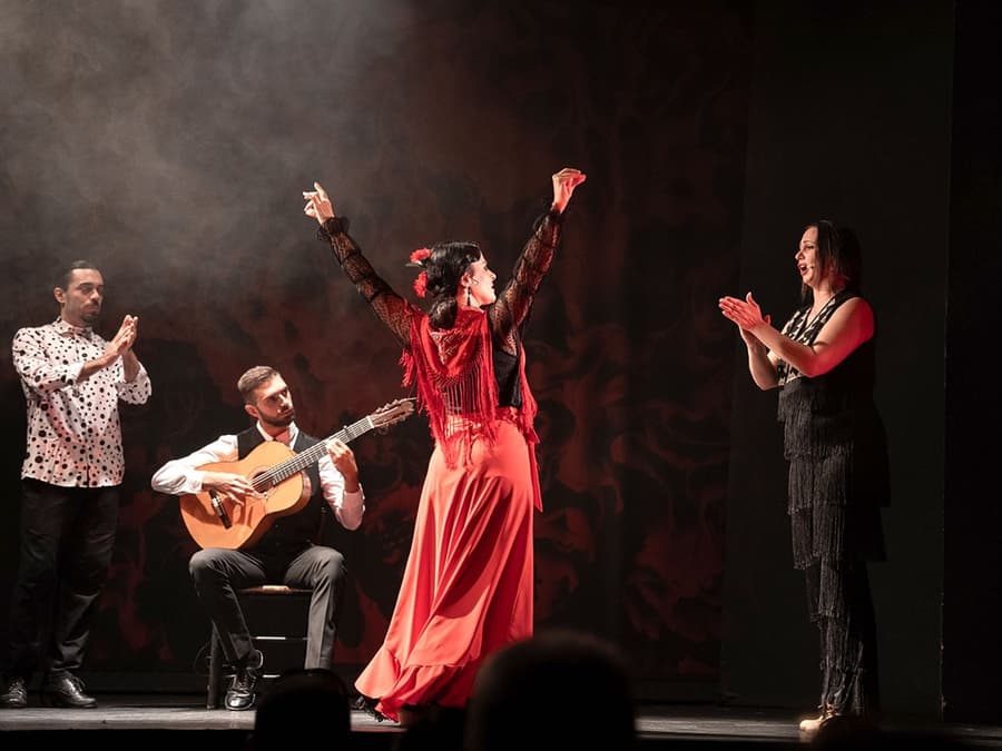 Teatro Flamenco Barcelone - Spectacle d'Inspiration