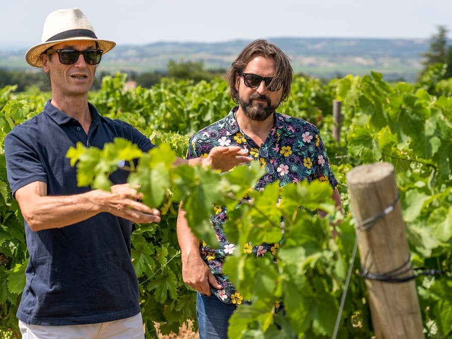 From Avignon: Wine Tour to Châteauneuf-du-Pape