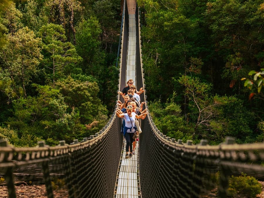 Full-Day Guided Tour of Tahune Airwalk & Hastings Caves