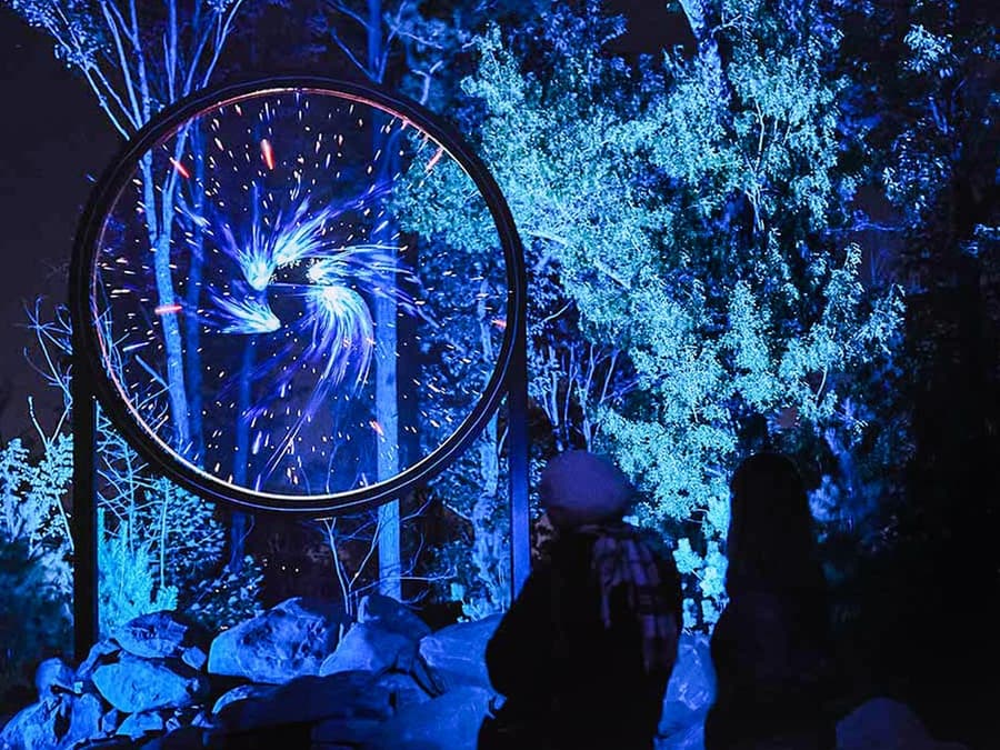 Astra Lumina at Currumbin Wildlife Sanctuary