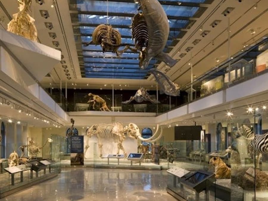 Natural History Museum of Los Angeles County: Entry Ticket