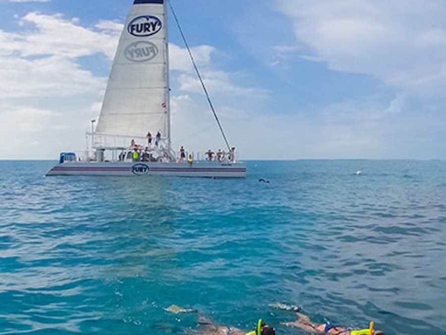 Cayo Hueso: Tour de Snorkel por la Mañana