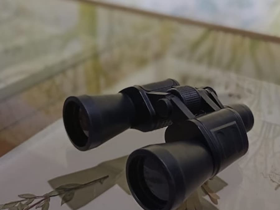 RADICI. Piccolo Museo della Natura: Entry Ticket + Self-Guided Tour