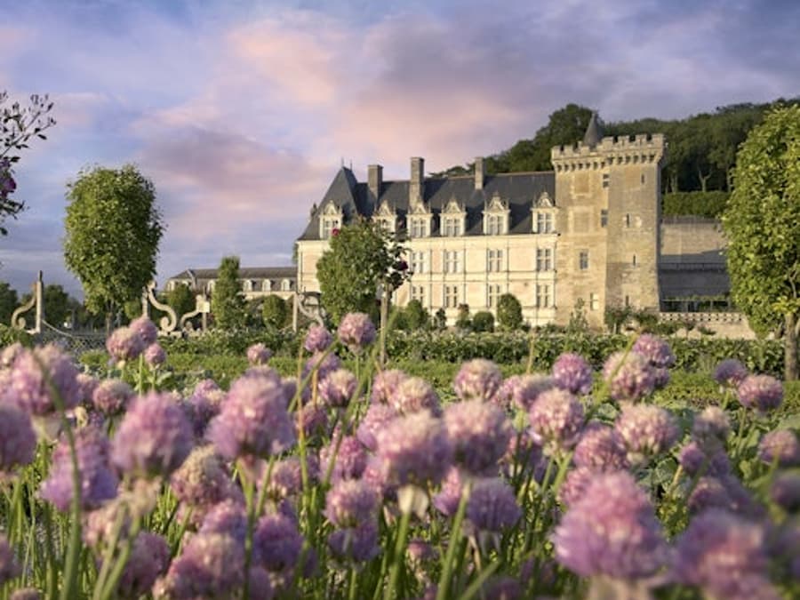 Vé vào cổng Château de Villandry