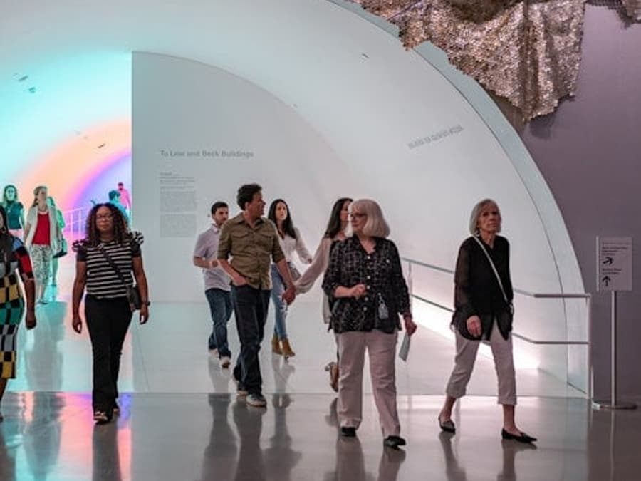 The Museum of Fine Arts, Houston: ALL ACCESS Ticket