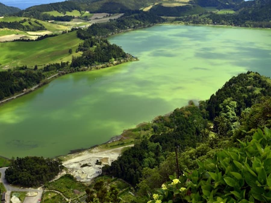 Furnas: Tea Plantations, Lake, and Volcano Guided Tour