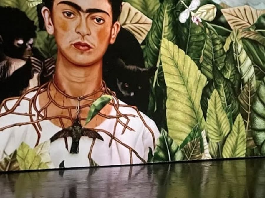 Expoziția Frida Kahlo Amsterdam: Experiența VR