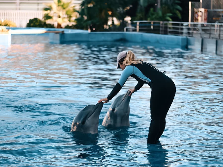 Combo: Oceanogràfic + Hemisfèric Tickets