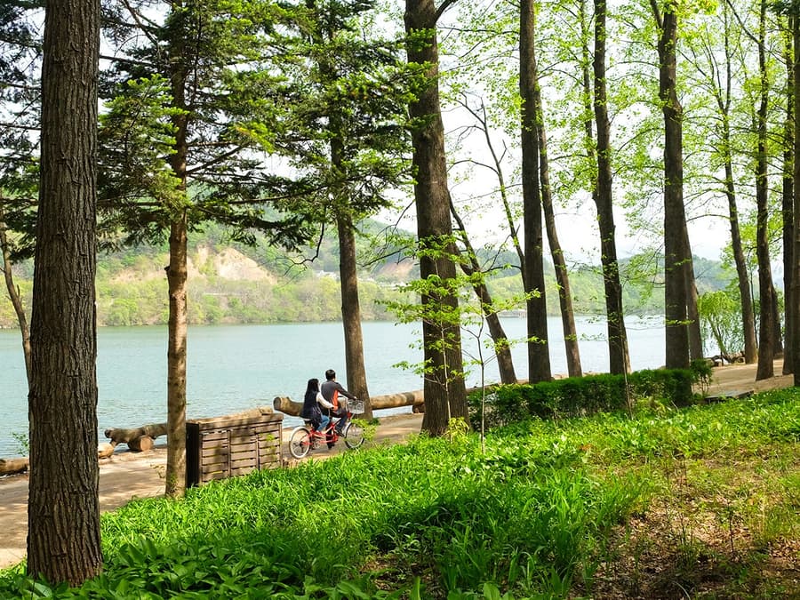 Nami Island & Mount Seorak Day Tour