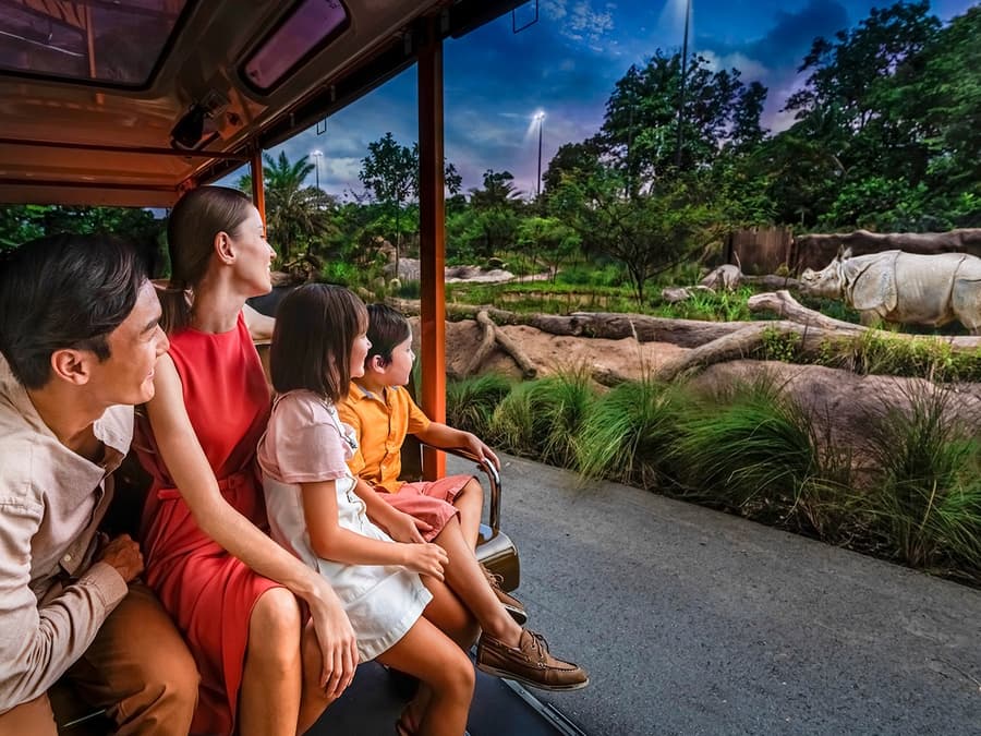 Night Safari Tickets | Mandai Wildlife Reserve