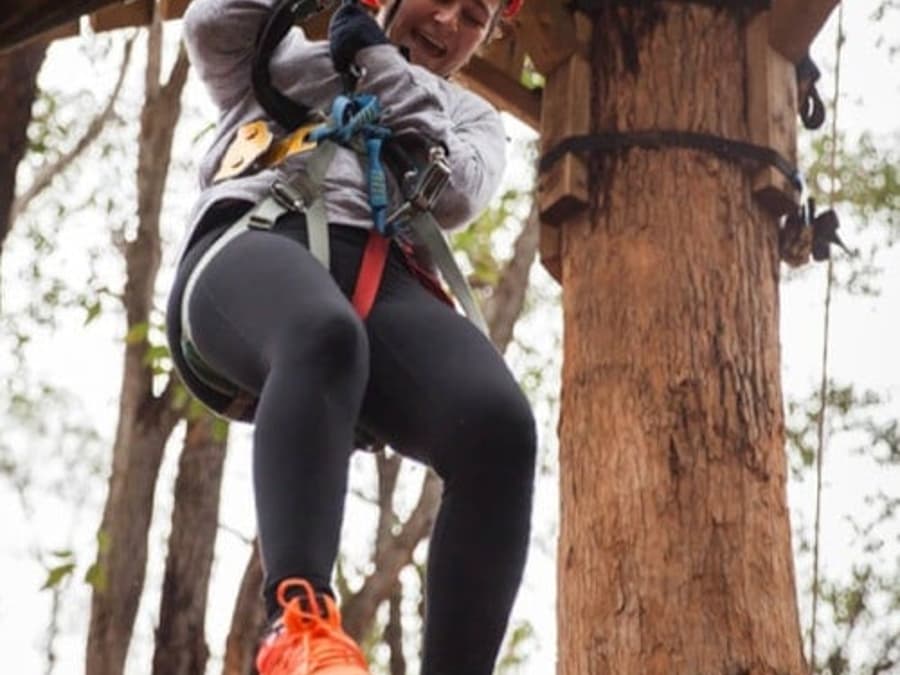 Dwellingup: Treetops Adventure
