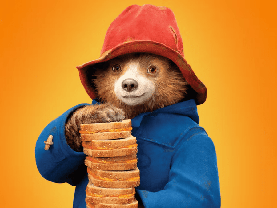 L'Experiència de l'Os Paddington