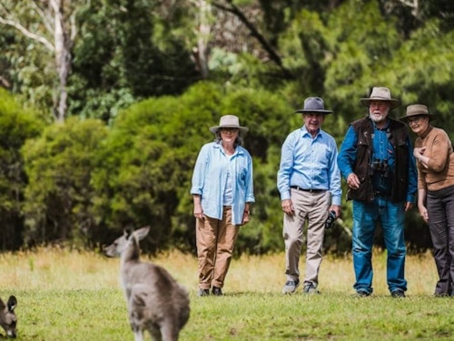 Canberra: Vezetett Vadállat Túra + Retúr Szállítás