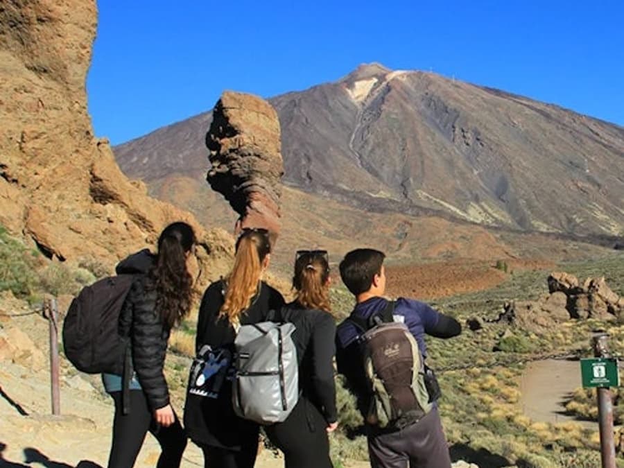 Tenerife: Half-Day Guided Tour to Teide National Park