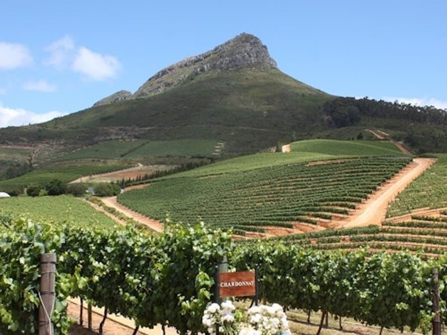 Stellenbosch & Franschhoek: Wine Tasting + Roundtrip Transfer From Cape Town