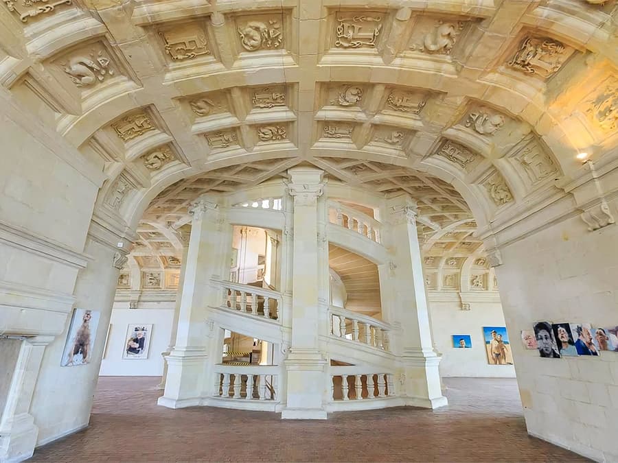 Da Parigi: Tour guidato dei Castelli di Chambord e Chenonceau + Degustazione di Vini