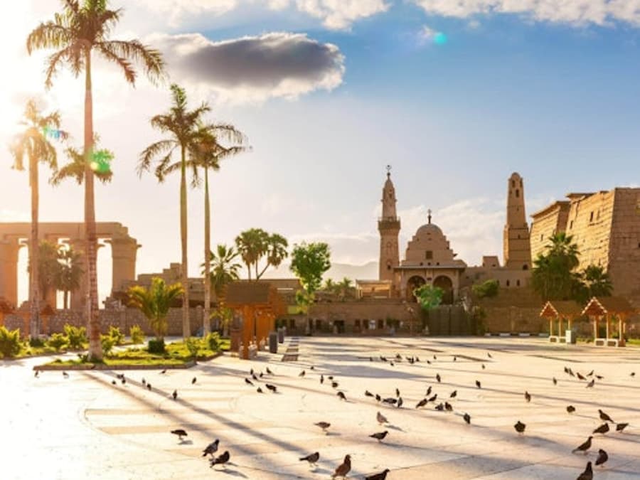 Luxor: Guided Day Tour to East and West Bank + Roundtrip Transfer