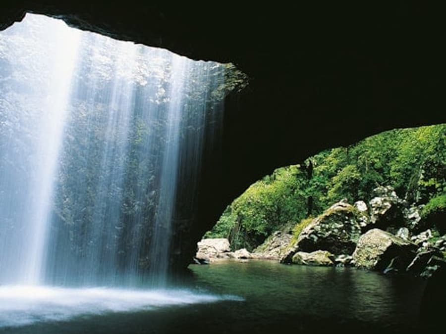 Tham quan Cầu tự nhiên & Thác nước Springbrook từ Gold Coast