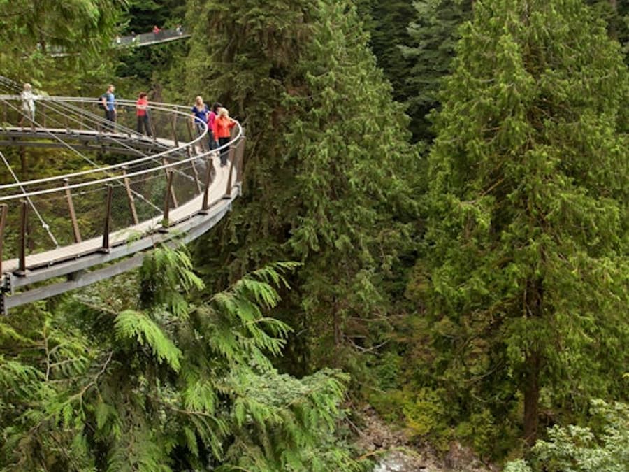 Vancouver: Zwiedzanie z przewodnikiem + Wizyta w Parku Mostu Wiszącego Capilano + Lunch