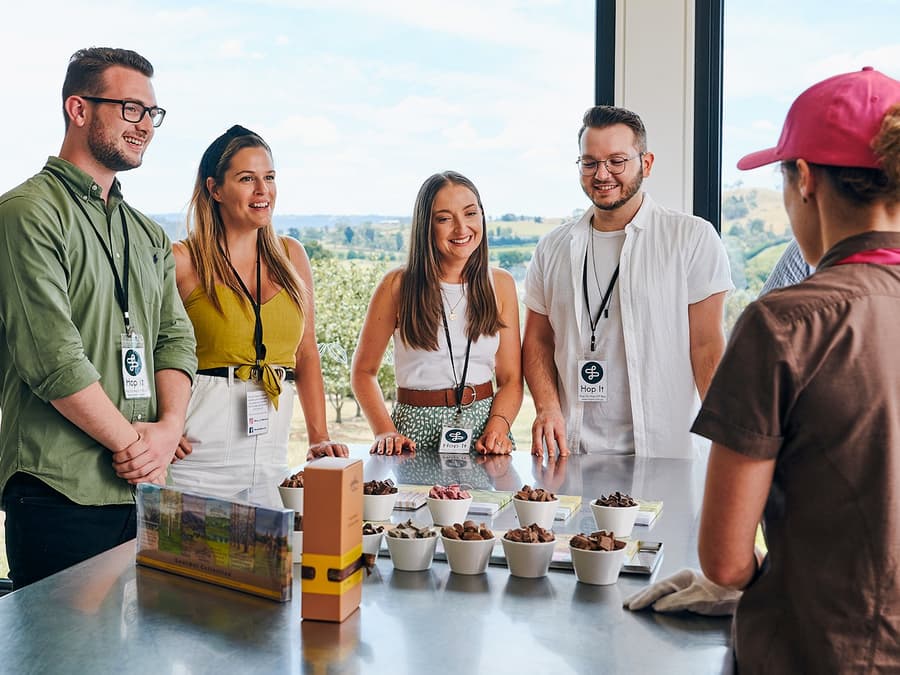 Frá Melbourne: 1 dags hop-on hop-off ferð um Yarra-dalinn