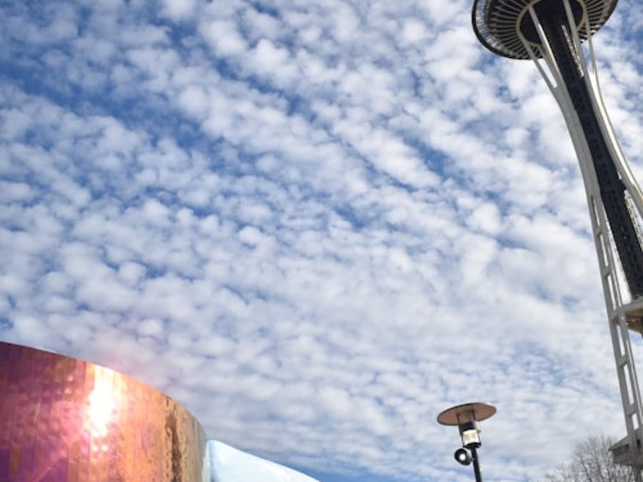 Seattle Center & Space Needle: Rondleiding te voet met gids