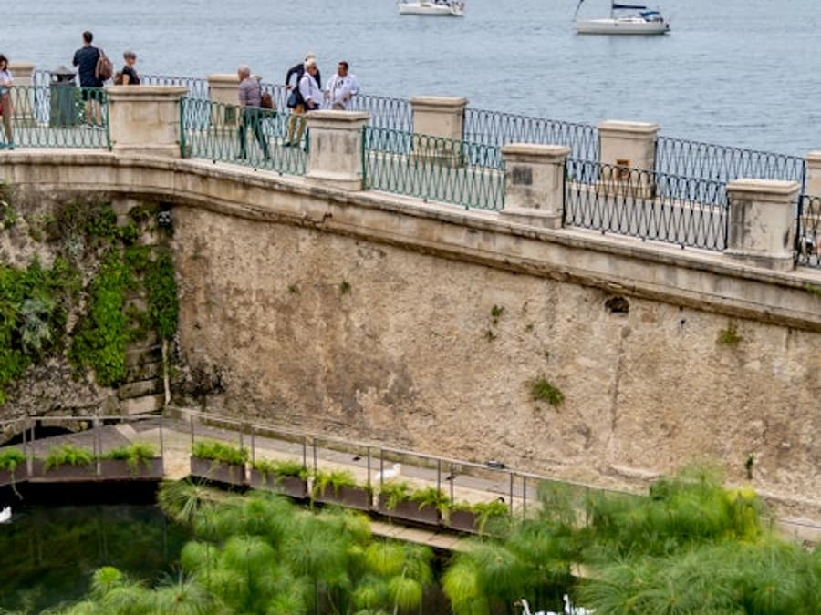 Siracusa, Ortigia & Noto: Guided Day Trip from Catania