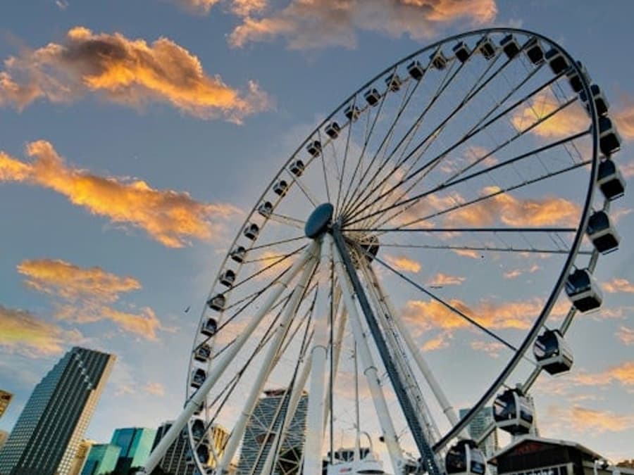 Skyviews Miami Observation Wheel: Entry Ticket