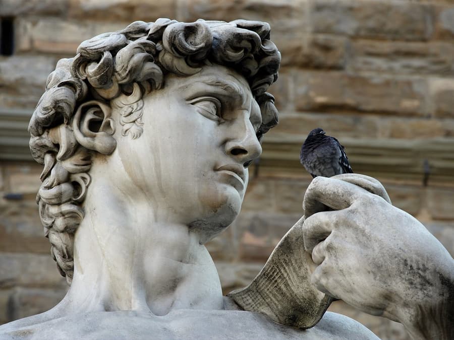 Geleide Tour door Florence & Duomo met Voorbehouden Toegangstickets voor de Accademia Galerij