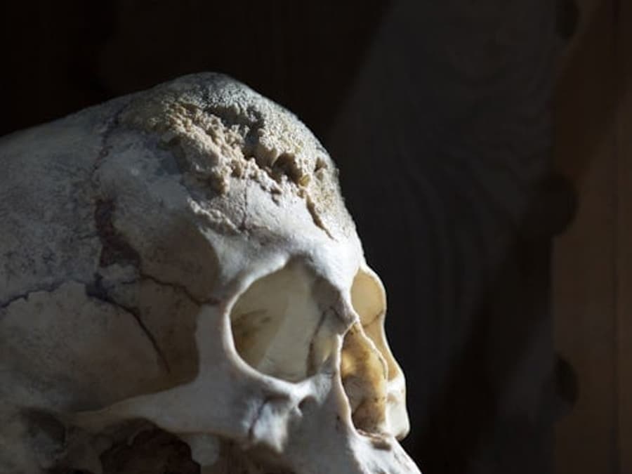 Квиток на вхід: Sick To Death