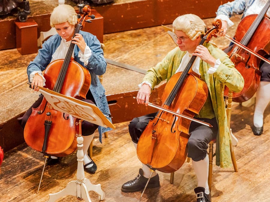 Musikselskab Wien (Musikverein): Mozart Orkesterkoncert & 3-retters Middag