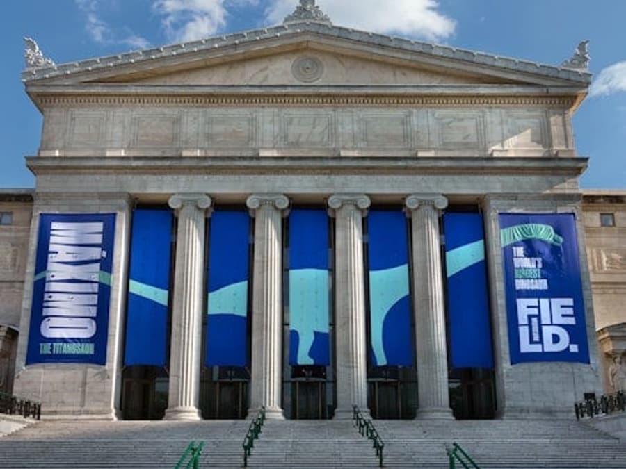 Muzeum přírodní historie: Prohlídka s průvodcem + Přednostní vstup + Výstava