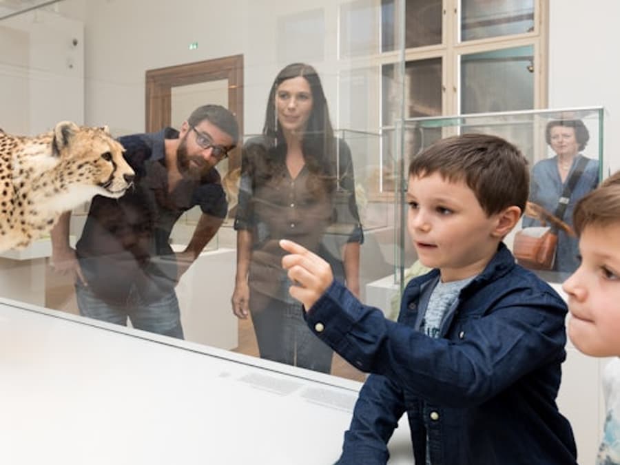Museu de História Natural de Graz - Joanneumsviertel