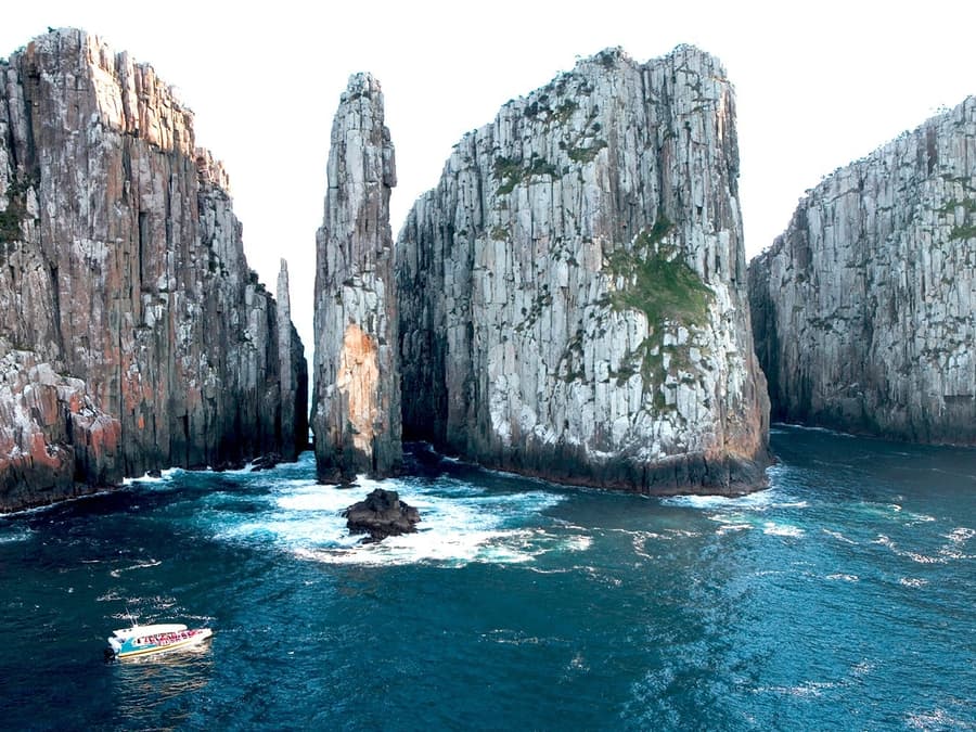 From Port Arthur: Tasman Island 3-Hour Wilderness Cruise