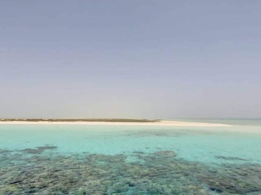 Hamata: Snorkeling + Roundtrip Transfer + Lunch
