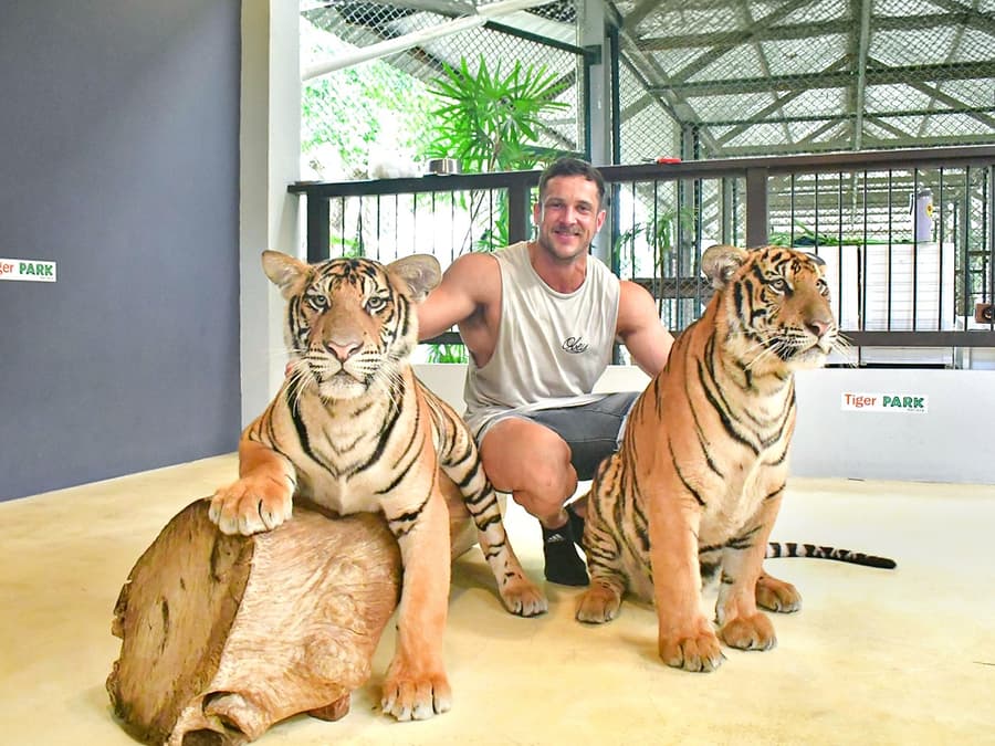 Tiger Park Tickets with Tiger Interactions: Non-Thai Residents
