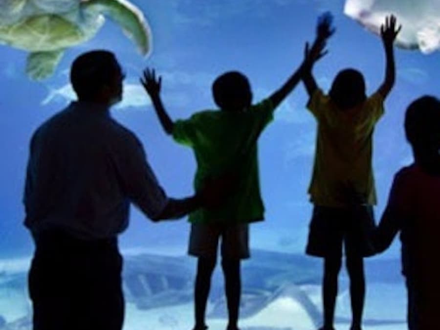 Pergi ke Kota Philadelphia: Kartu Explorer