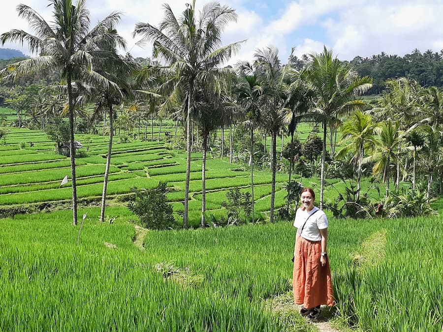 Pribadong Bali Ubud Tour: Tirta Empul, Palayan na Hagdan at Swing