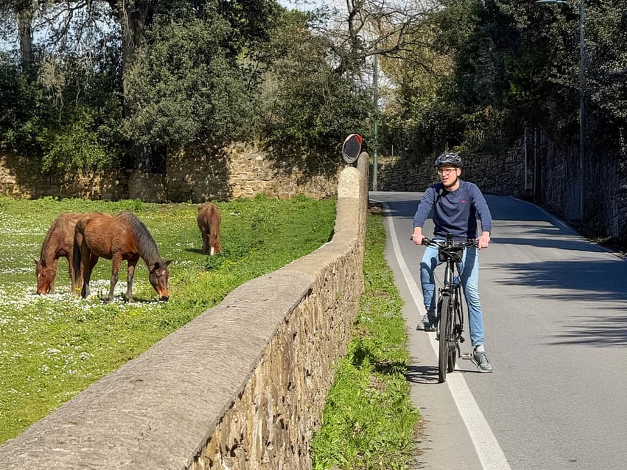 Von Florenz: E-Bike-Tour durch die Toskana & das Chianti mit Mittagessen