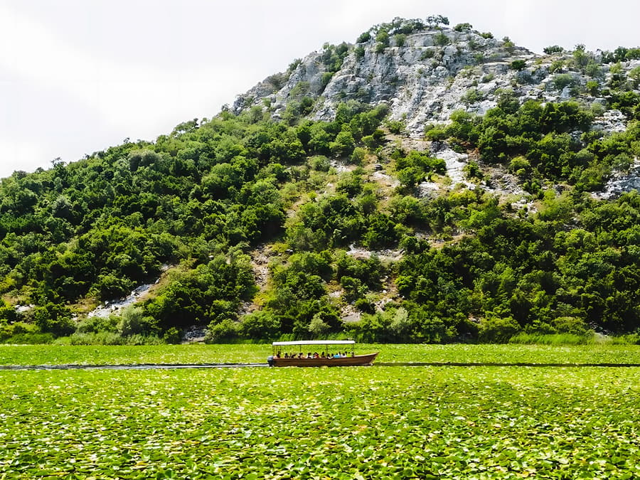 From Virpazar: Lake Skadar Sightseeing Boat Tour & Kom Monastery with Drinks