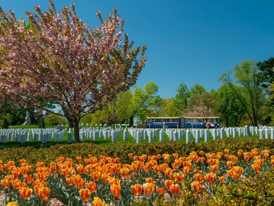Arlington National Cemetery Tour