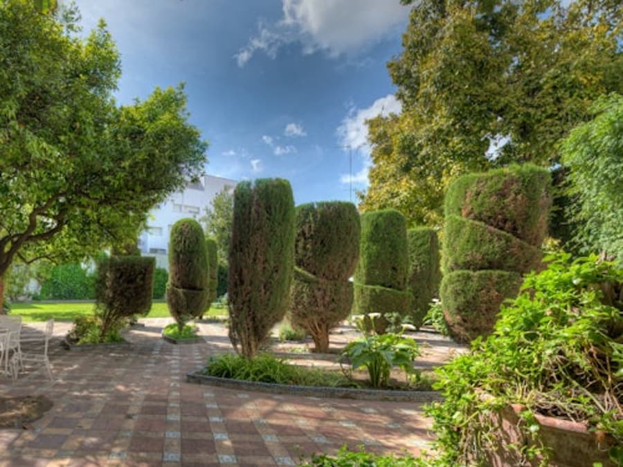 Virrey Laserna Palace: Guided Tour
