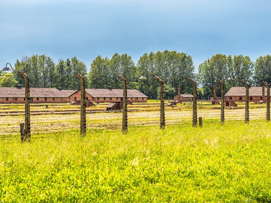 Dari Krakow: Tur Terpandu Auschwitz-Birkenau dengan Antar Jemput Hotel