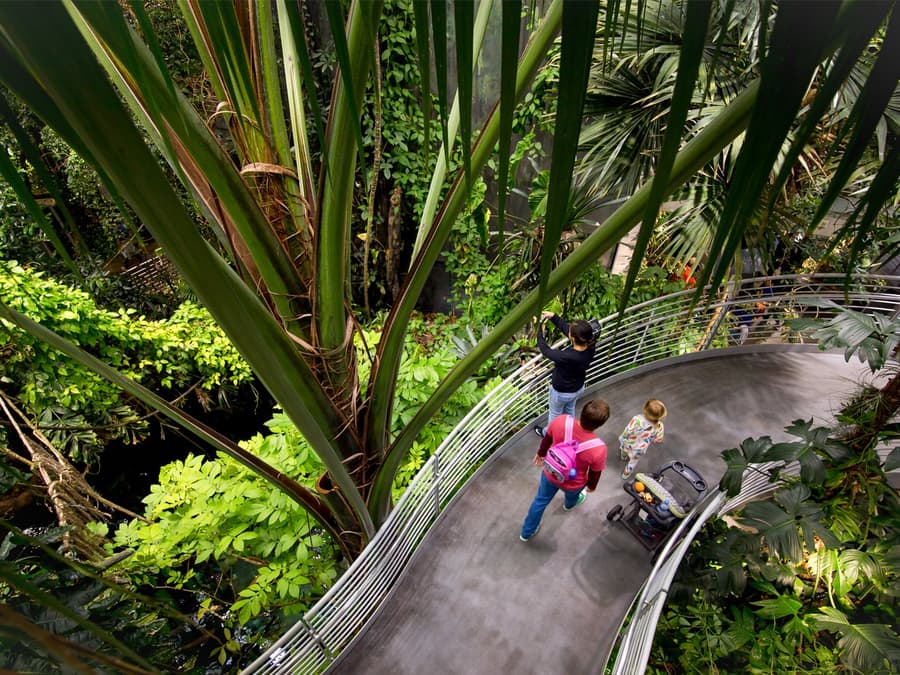 California Academy of Sciences Tickets
