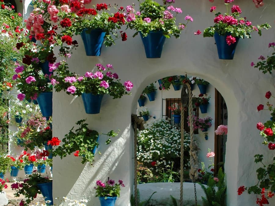 Authentic Patios of Cordoba Skip-the-Line Guided Tour