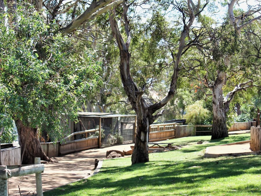 Bonorong Wildlife Sanctuary Tickets