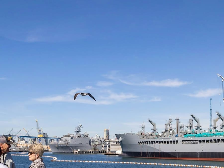 San Diego Harbor: 2-Hour Cruise with Live Guide