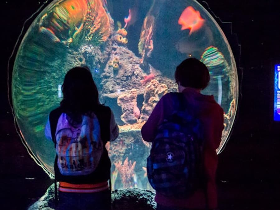Zoo Santo Inacio + Sea Life Porto Pass